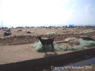 Bord de mer  Madras