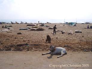 Bord de mer  Madras