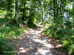 Chemin historique romain