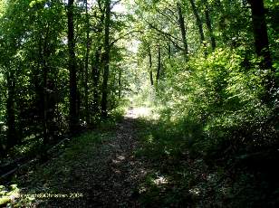 Chemin historique romain