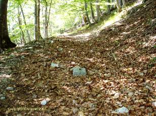 Chemin historique romain