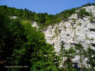 Les Gorges de Covatannaz