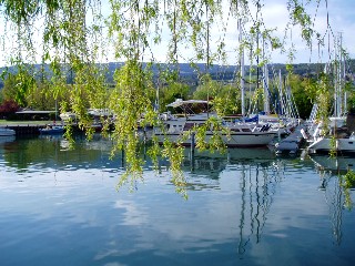 le port d'Auvernier