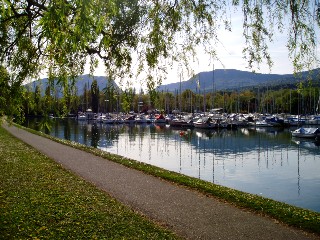 le port d'Auvernier