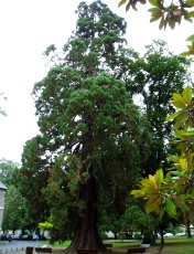 Jardin des Vignaux