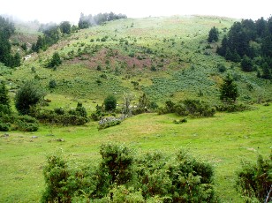 Les alentours du Chiroulet