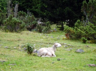 Les alentours du Chiroulet