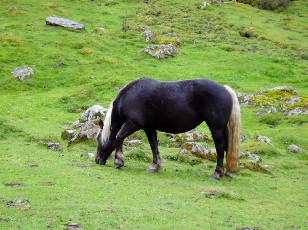 Les alentours du Chiroulet