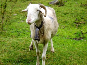 Les alentours du Chiroulet