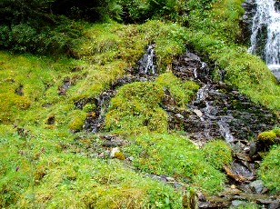 Les alentours du Chiroulet