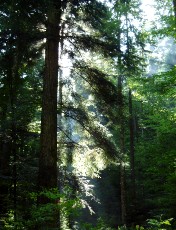 Magie du Creux-du-Van