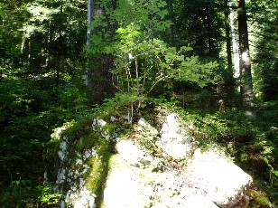 Magie du Creux-du-Van