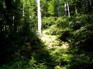 Magie du Creux-du-Van