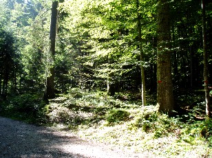 Magie du Creux-du-Van