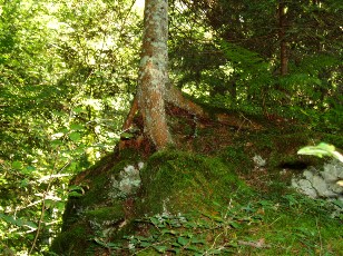 Magie du Creux-du-Van