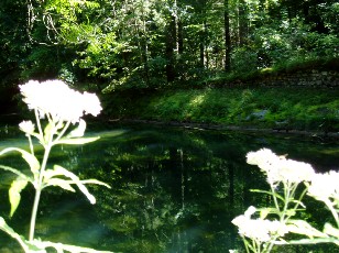 Gorges de l'Areuse