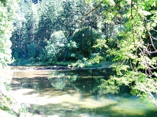 Gorges de l'Areuse