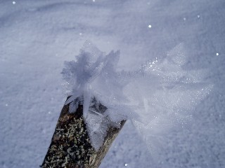 Beaut et magie de la Nature jouant avec les lments!