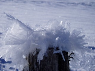 Beaut et magie de la Nature jouant avec les lments!