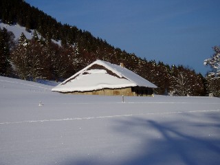 Beauté de la Nature