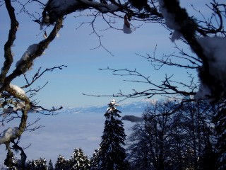 Beauté de la Nature