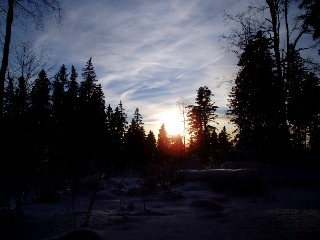 Beauté de la Nature