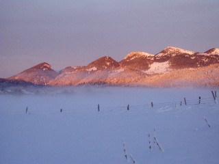 Beauté de la Nature
