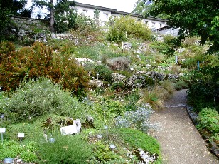 Jardin botanique au mois d'aot  Berne