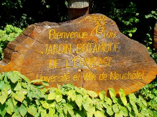 Jardin botanique au mois d'aot  Neuchtel