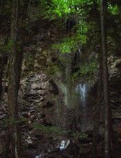 Les gorges de Jogne prs de Broc