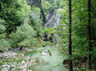 Les gorges de Jogne prs de Broc