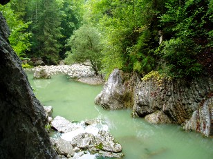 Les gorges de Jogne prs de Broc