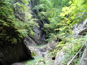 Les gorges de Jogne prs de Broc