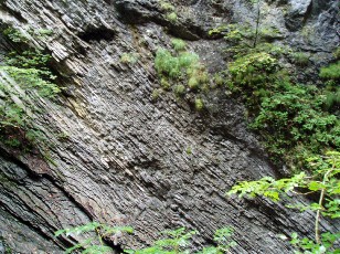 Les gorges de Jogne prs de Broc