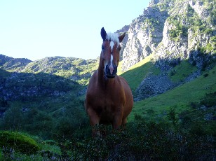 La monte au lac Bleu, regard attentif...