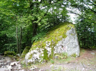 Magie et Beaut de la Nature