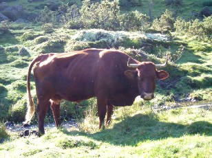 Monte au lac d'Ourrec