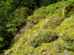 Monte au lac d'Ourrec