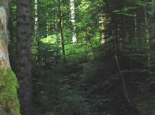 Gorges de la Pota-Raisse