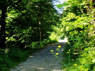 Gorges de la Pota-Raisse