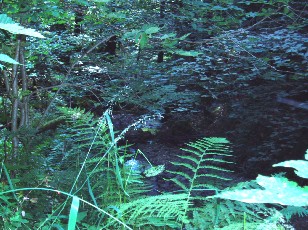 Gorges de la Pota-Raisse