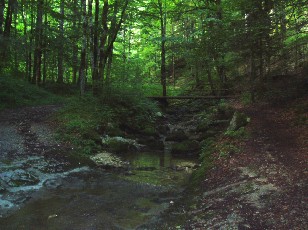 Gorges de la Pota-Raisse