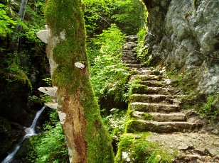 Gorges de la Pota-Raisse