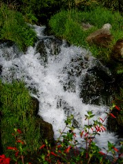 Magie et Beauté de la Nature