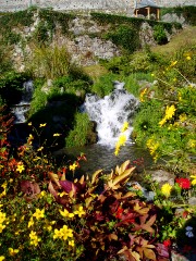 Magie et Beaut de la Nature