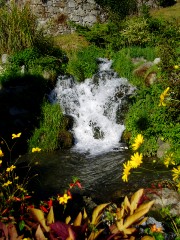 Magie et Beaut de la Nature