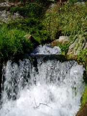 Magie et Beaut de la Nature