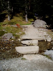 Magie et Beaut de la Nature au Pont d'Espagne !