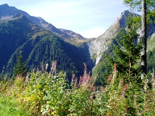 Bise du Trient - Col de la Forclaz