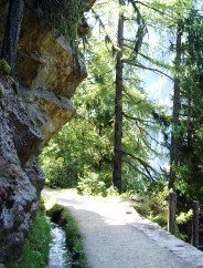 Bise du Trient - Col de la Forclaz